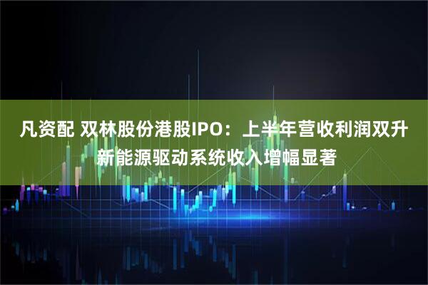 凡资配 双林股份港股IPO：上半年营收利润双升 新能源驱动系统收入增幅显著