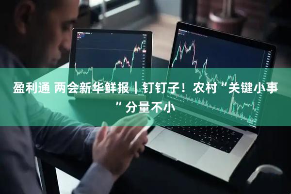 盈利通 两会新华鲜报｜钉钉子！农村“关键小事”分量不小