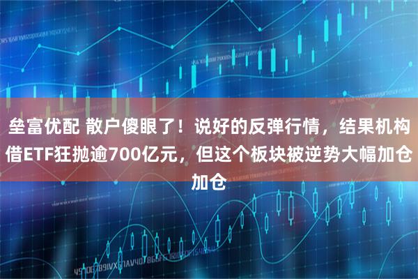 垒富优配 散户傻眼了！说好的反弹行情，结果机构借ETF狂抛逾700亿元，但这个板块被逆势大幅加仓